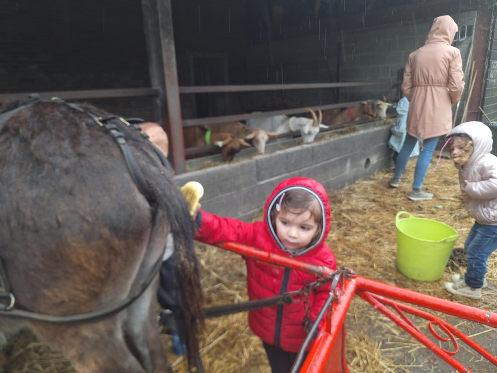 att.2Ptpq2VlYEnfjH5kwtMHkWmzjLqZ1JDtBKMZuKkt3Zk