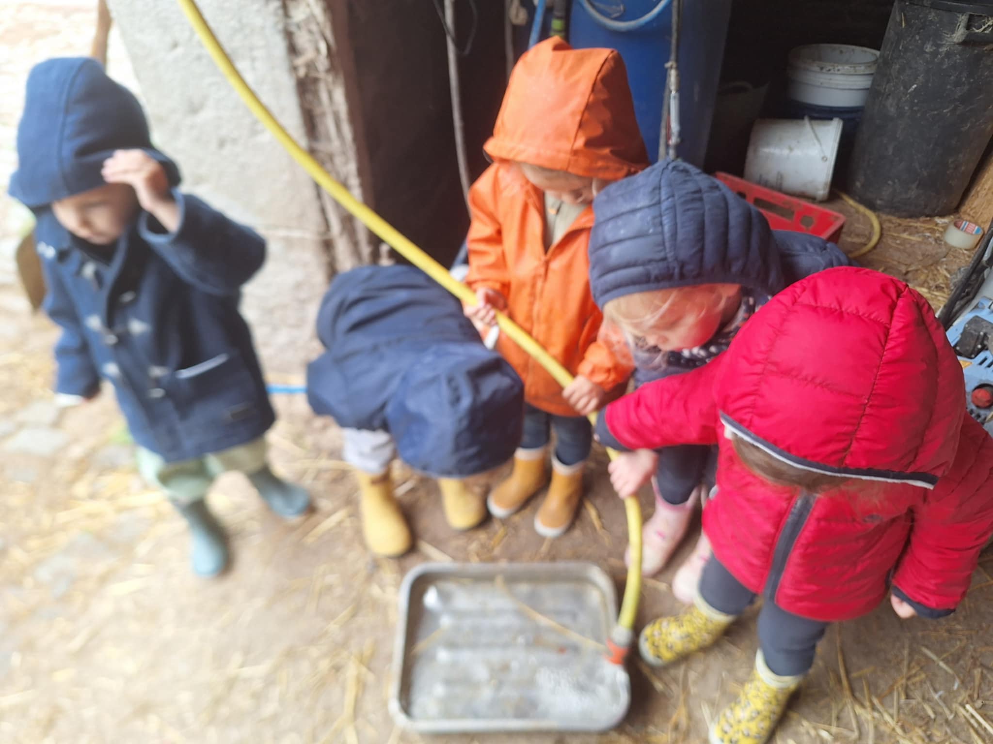 att.3Yvexgwgf1p08s8AKMI1pgr7Nw4HLb9ZQ1tz42zkcg0