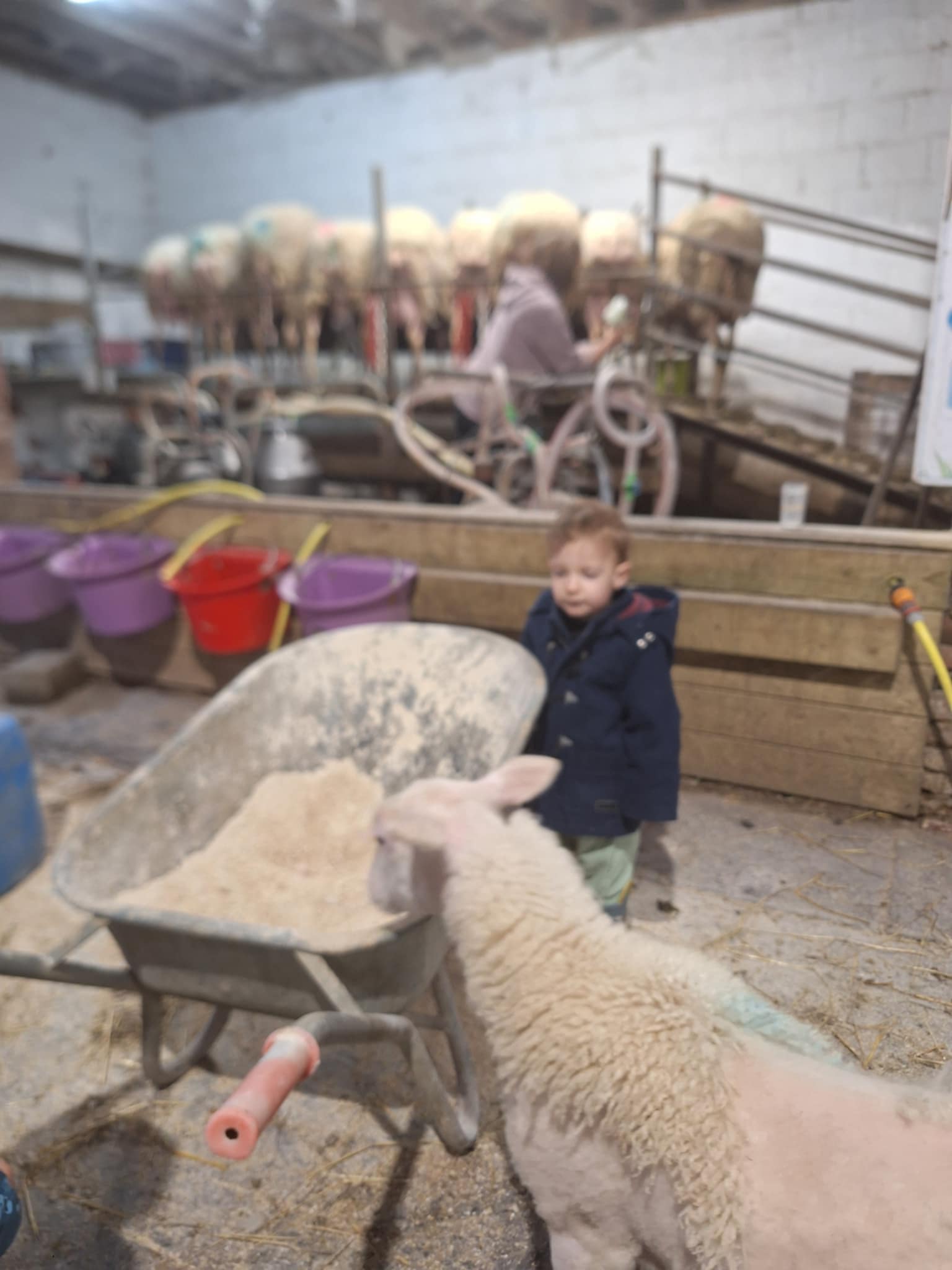 att.3e7vX7fppfRzIPULCdPck6v4fVD-rBF1ECxM9gCkhlk