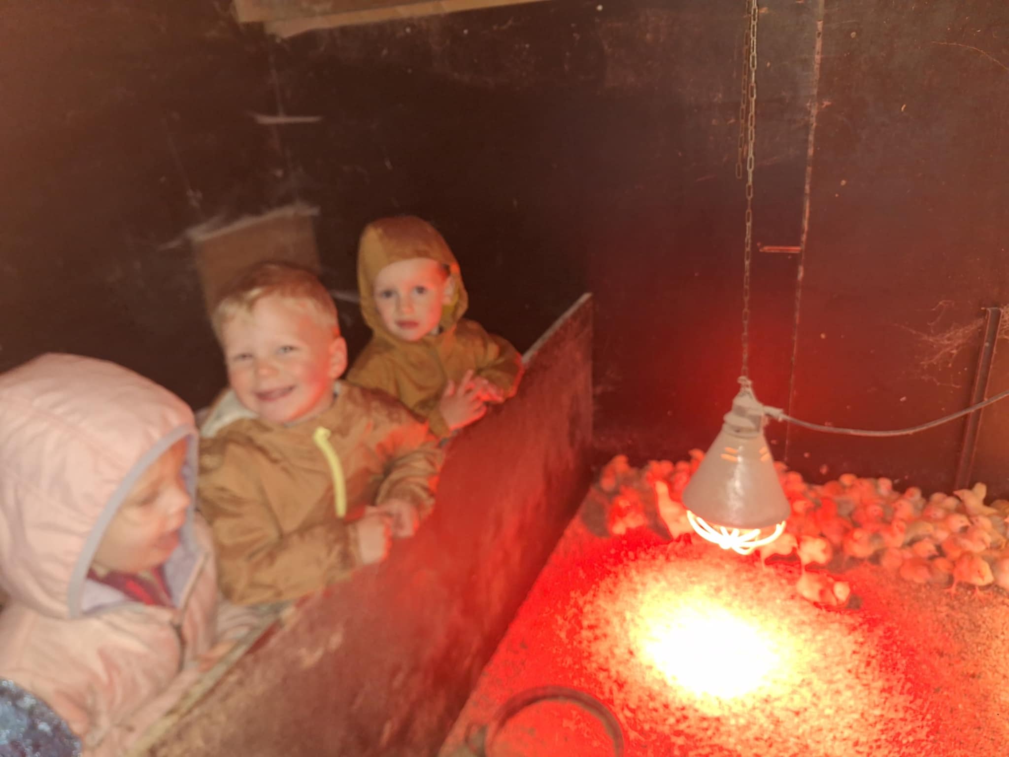 att.AtyVNO9K9oyXjhf8MLcYcqyr4xVtkKYLy1-YVxKzN5o