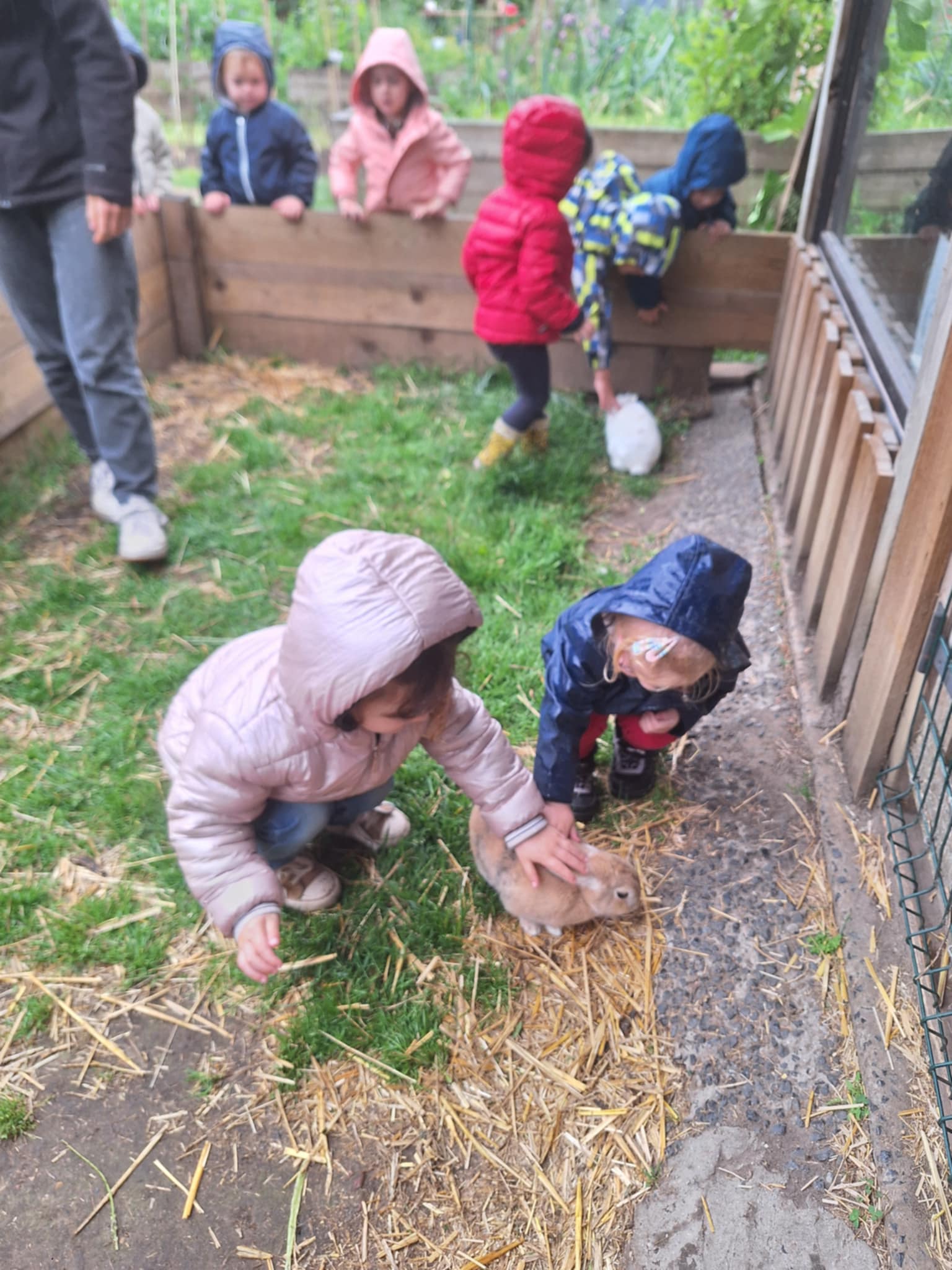 att.CishtJ3GB6ZV-TCq9TPnwyT4L8DCnQ-Rk6Jd_1DhWXU