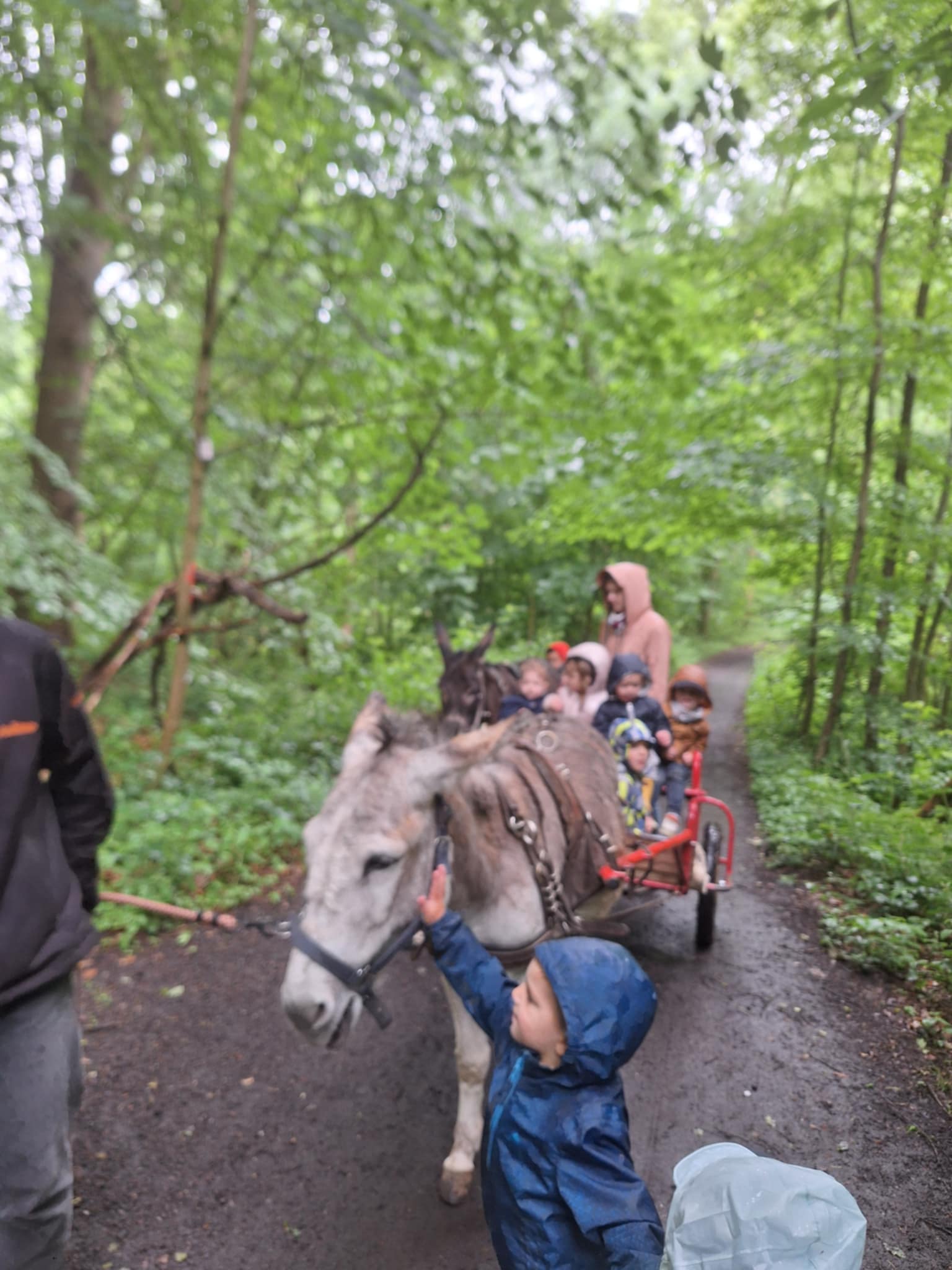 att.KSTdMwNt0CmoQ1pRJKmYar7Mp-Jdux8y1ohOSXZUPqQ