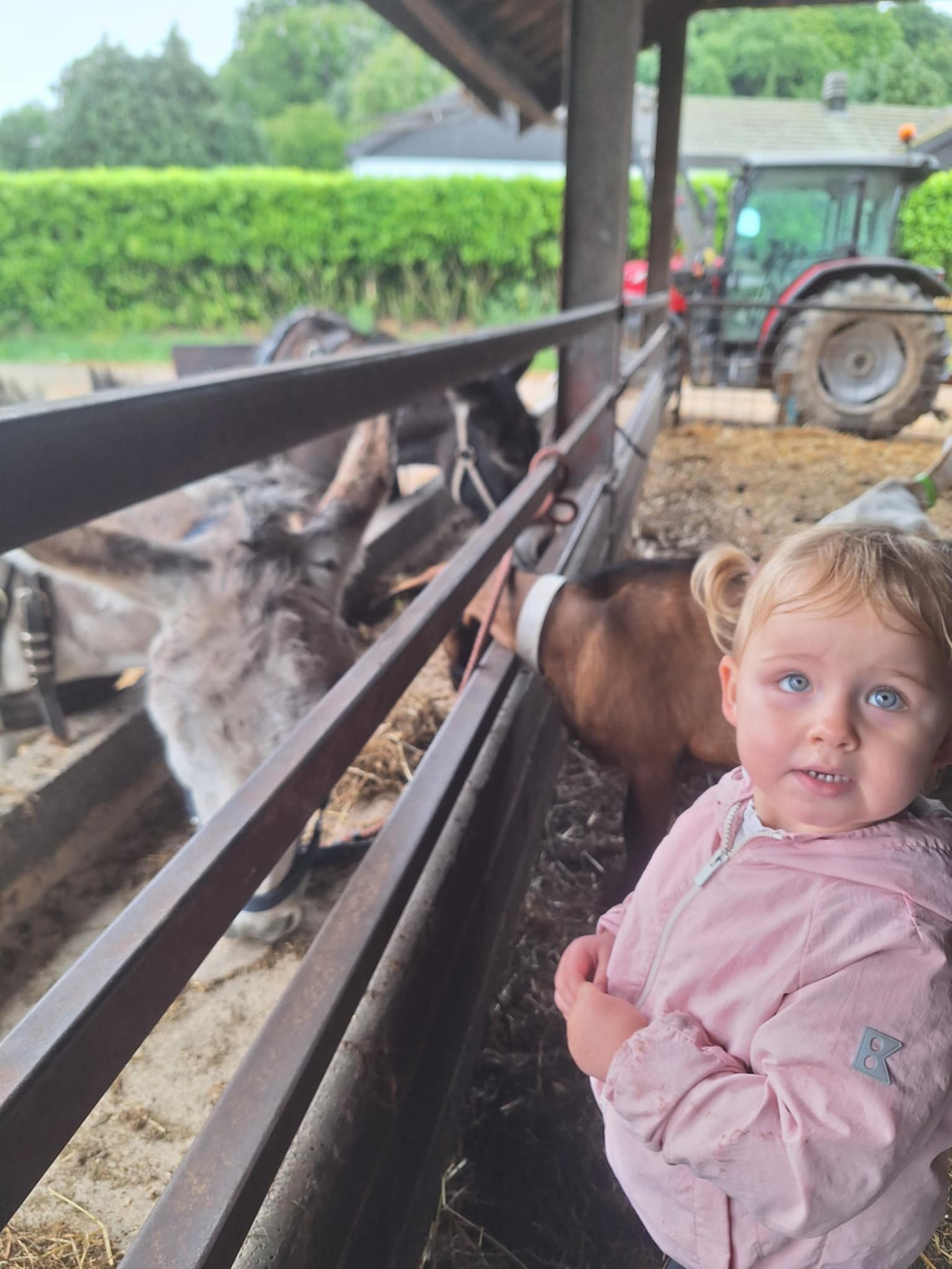 att.ORfSozBERQw2Z6vlNdcIejWvt6fu8Hqo0juVzP8itOM