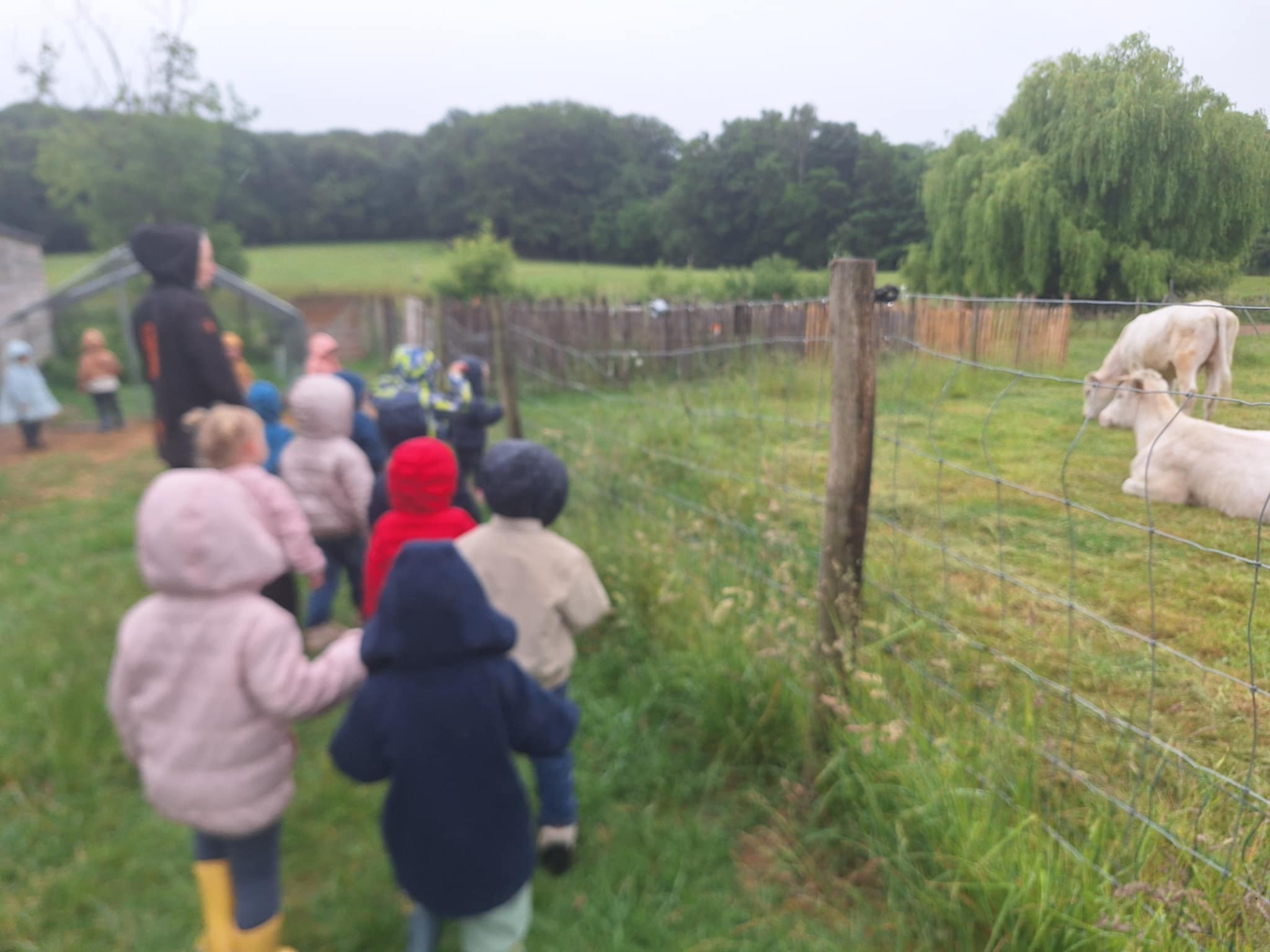 att.S8H9uSbqiwH84n6cMzdFNDU4NHsW16ByOzUtZ-7Keto