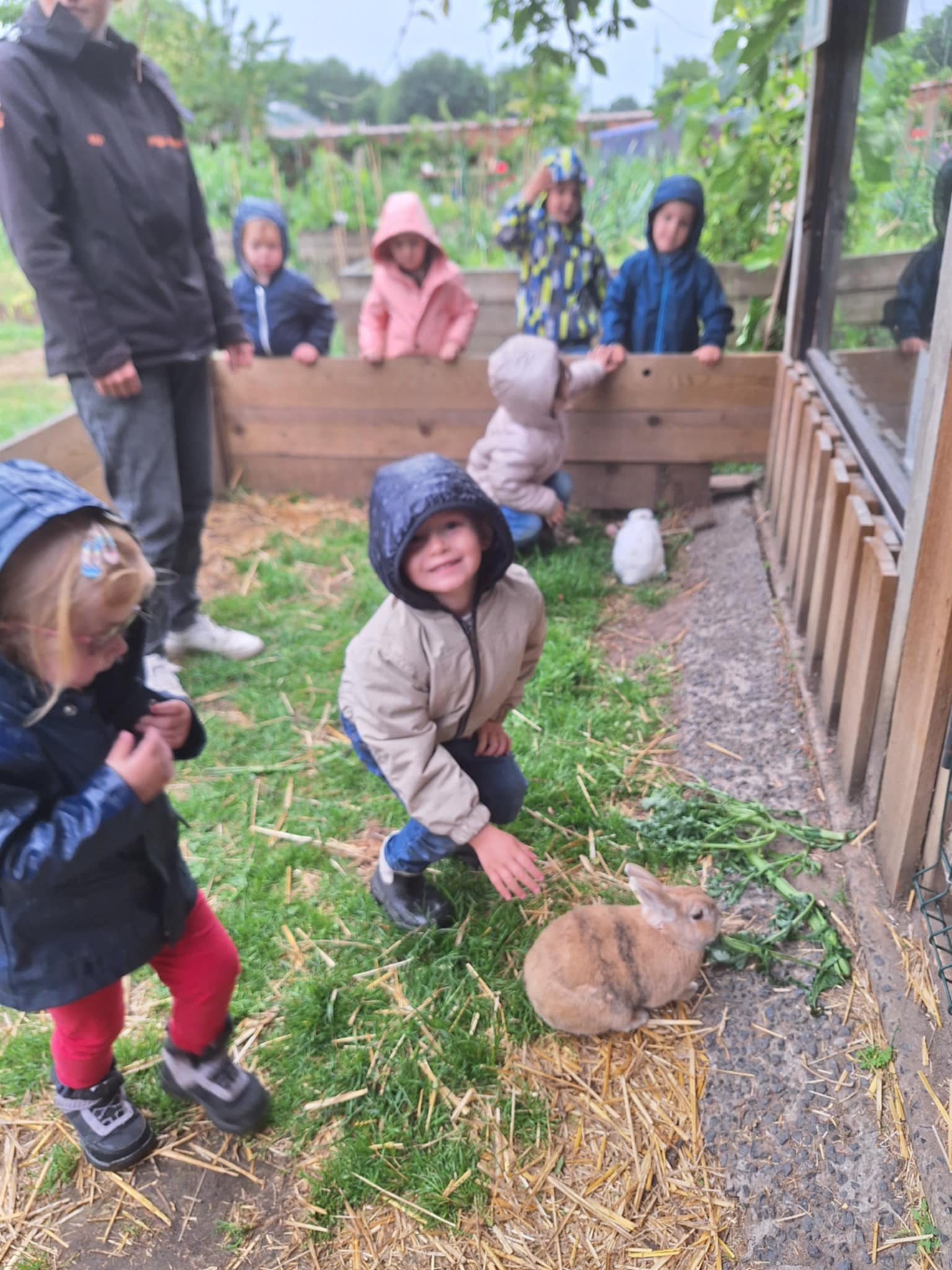 att.TvQu4C-srssIkTN1jQWTVlRTayso-DPnsRCiAIRZl7c