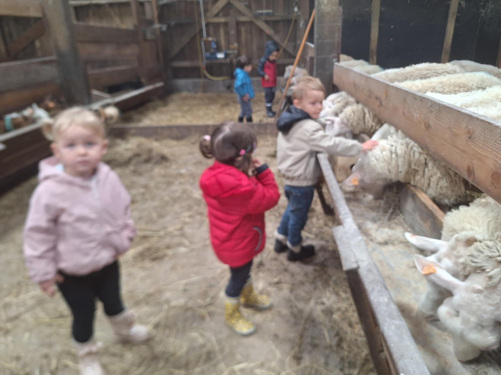 att.YQNUNWe26PD-vYeZqTKLc848QGxBFx7fv5ZBXhTA1GY