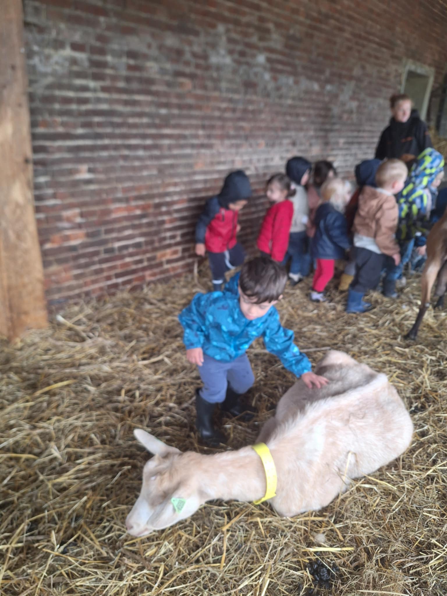 att.aqQmrO5zpn17x75U8yJibeRBaUAmfTqSsxUzVUwd9UY