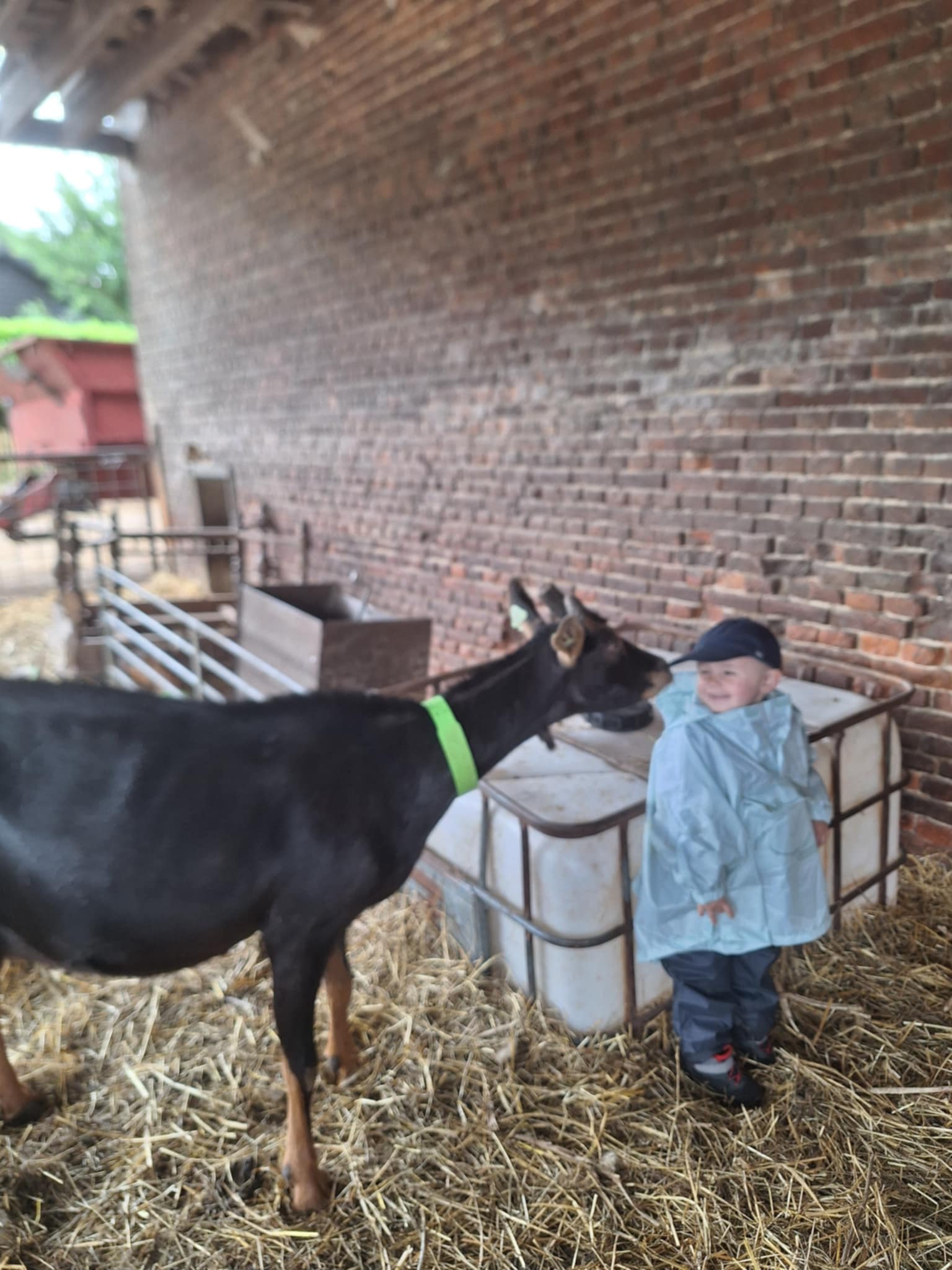 att.bRDiE9Y3KQnmAD4BlZ7rLb2aS1GFsg3aPs3LnSZOsfk