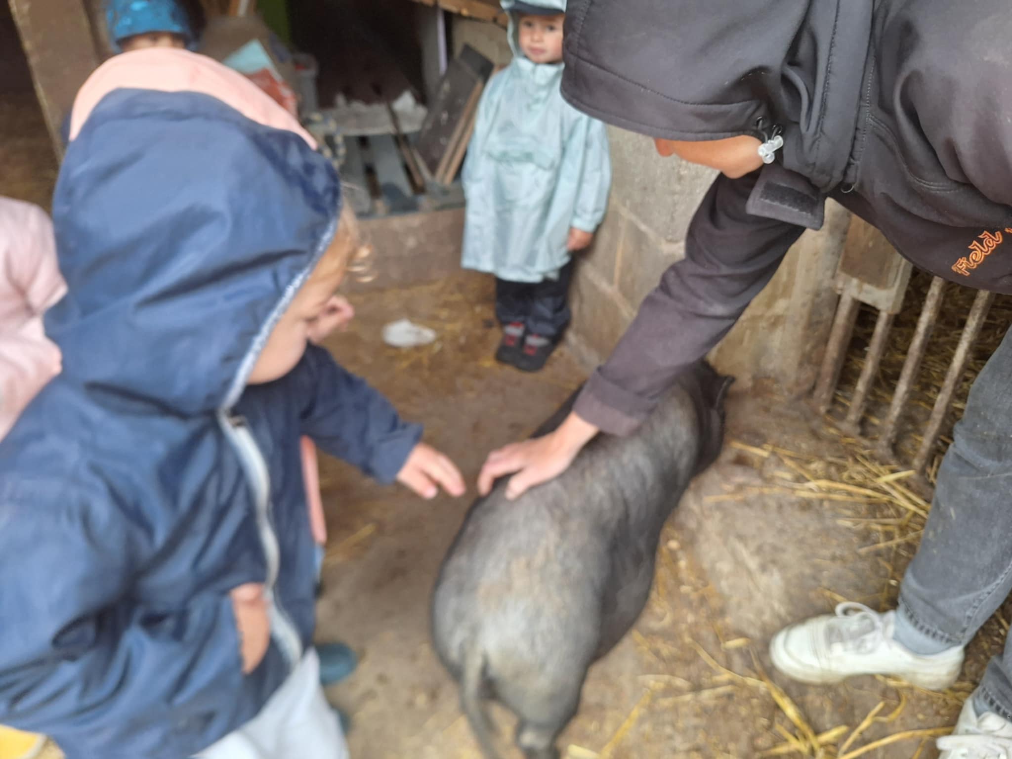 att.mD4xQHDjhg7ltQJnVTic-sx0oQs88XXKnnNoj2DN8HU