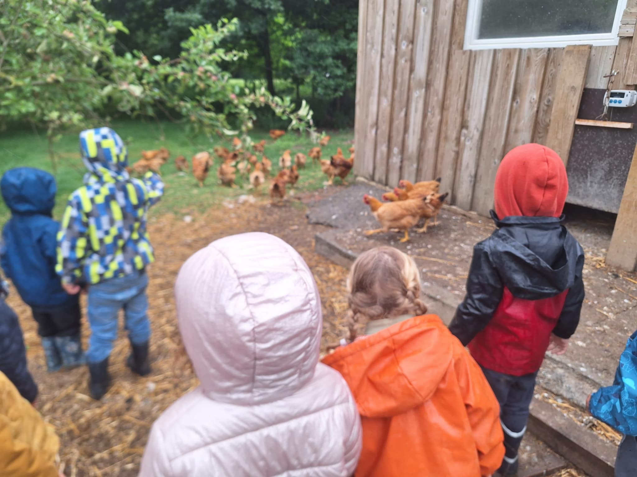 att.vuLYnB-LxGLLYRp5tZcR5jvGTbAMoTEV0TdjRbz19RQ