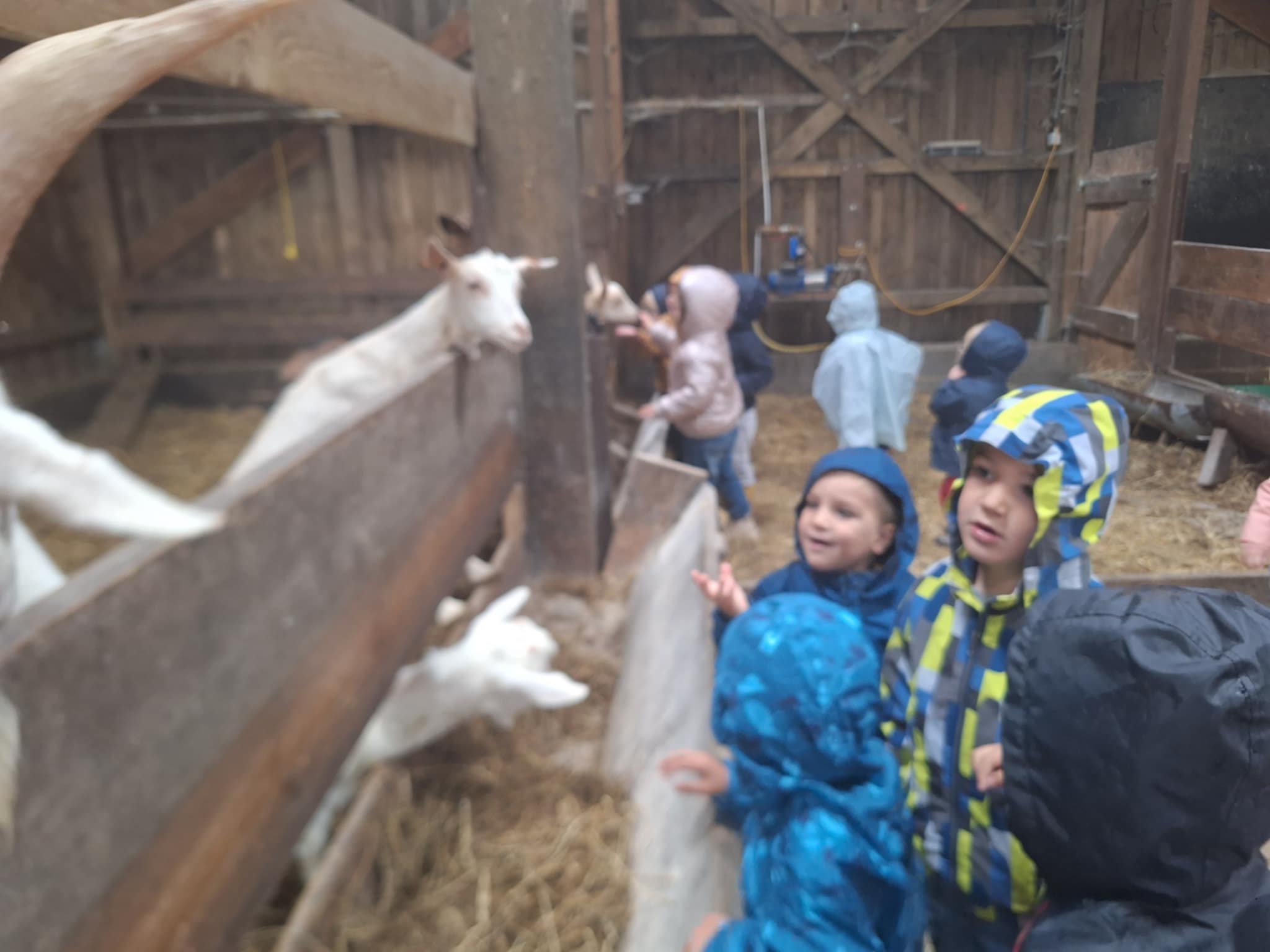 att.wC21BZQV-Cfn26G4wM81g8tp42gm2JG6eutnTLto01M