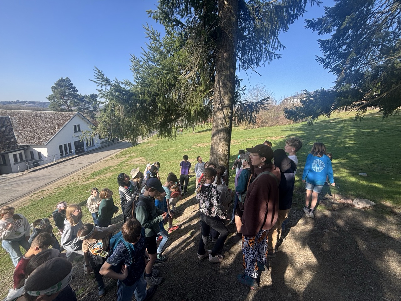 IMG_8292 2 – Grande