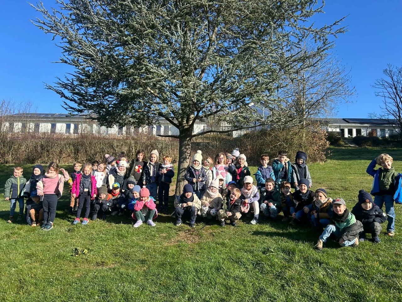 att.0NdWPxDA6OExHiGl_EjvfQSaQ_fdEUrHYMlCK4eqdLY – Grande