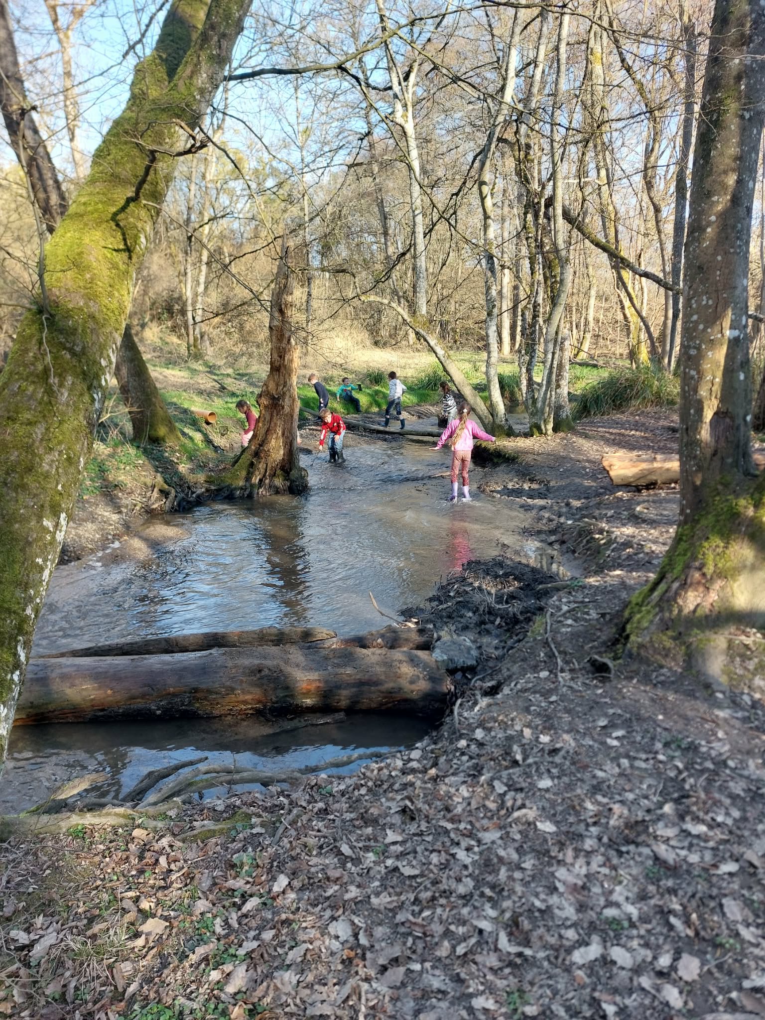 att.ufZbjeioI3TXfu1LQSX3Mj4mVdUf2NV_lzyR0XBrv08